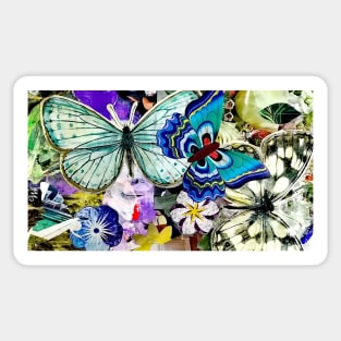 Butterflies Sticker